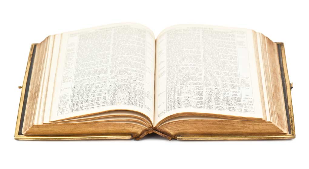 You are currently viewing A Good Word on Preaching the Word!